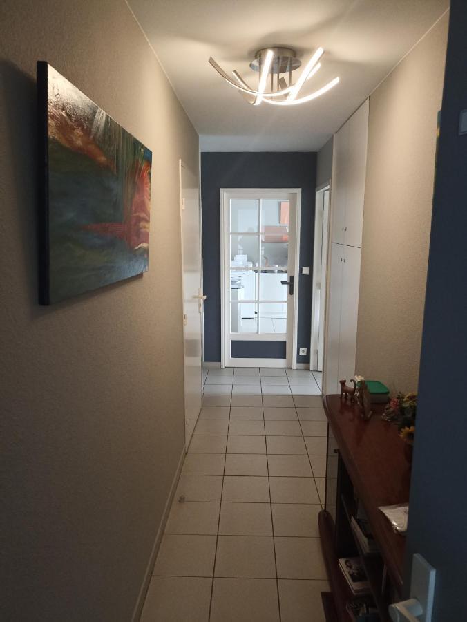 Bayonne Appartement 63M2 Avec Terrase Parking Wifi Zewnętrze zdjęcie