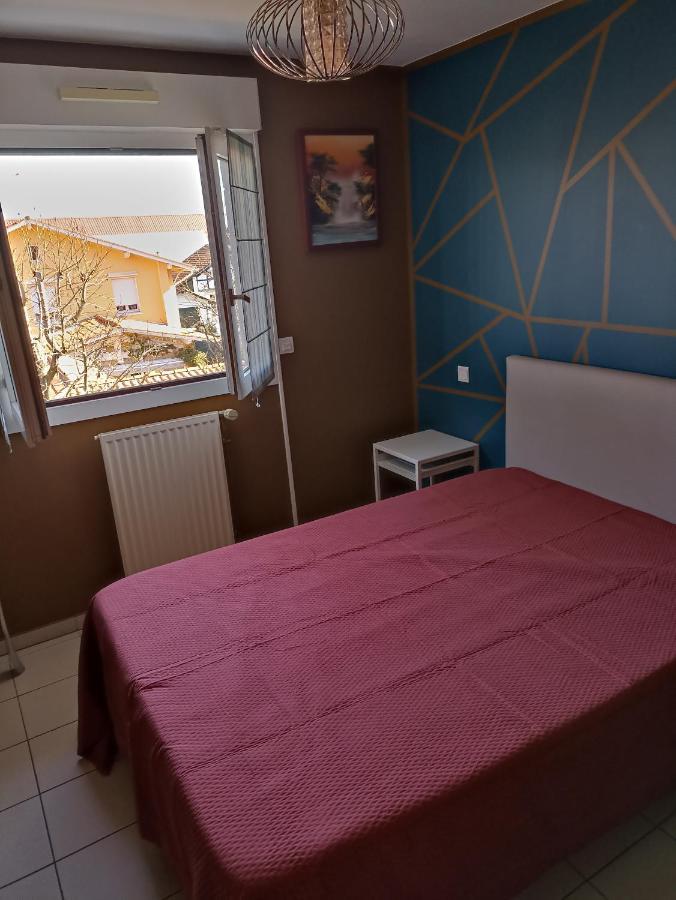 Bayonne Appartement 63M2 Avec Terrase Parking Wifi Zewnętrze zdjęcie